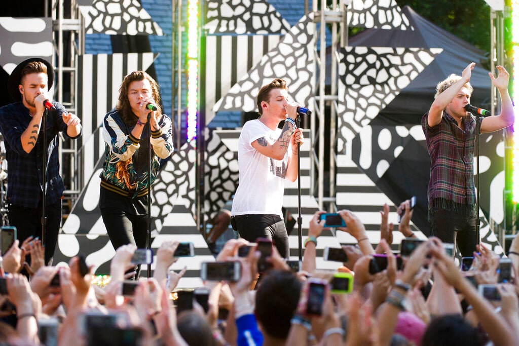 Niall Horan, Louis Tomlinson, Harry Styles, Liam Payne