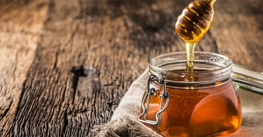 9η Γιορτή Μελιού και Προϊόντων Μέλισσας στο Ζάππειο