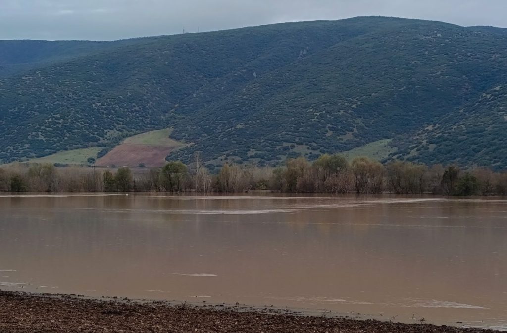 Χιλιάδες στρέμματα καλλιεργειών καλύφθηκαν από την υπερχείλιση του Πηνειού ποταμού σε Τρίκαλα και Λάρισα