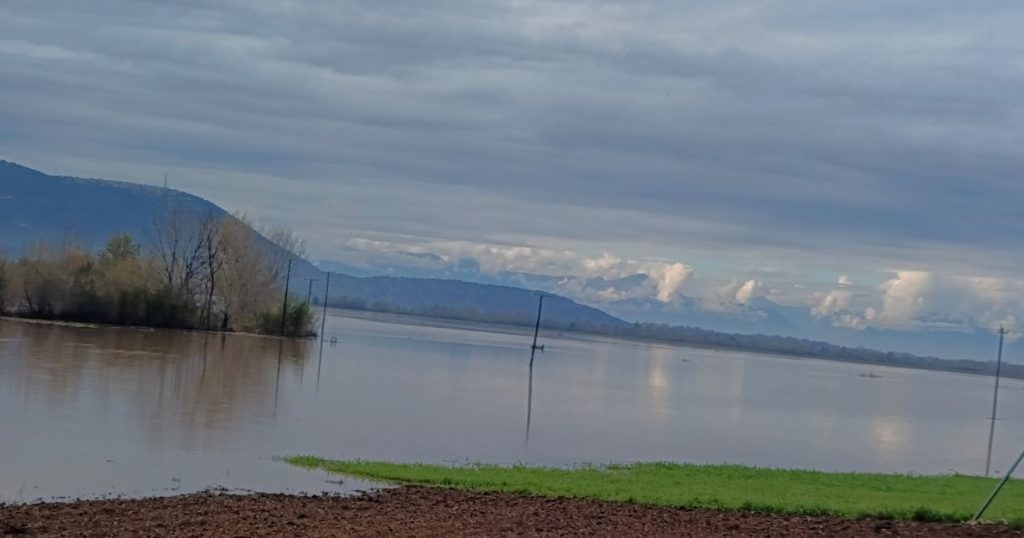 Χιλιάδες στρέμματα καλλιεργειών καλύφθηκαν από την υπερχείλιση του Πηνειού ποταμού σε Τρίκαλα και Λάρισα