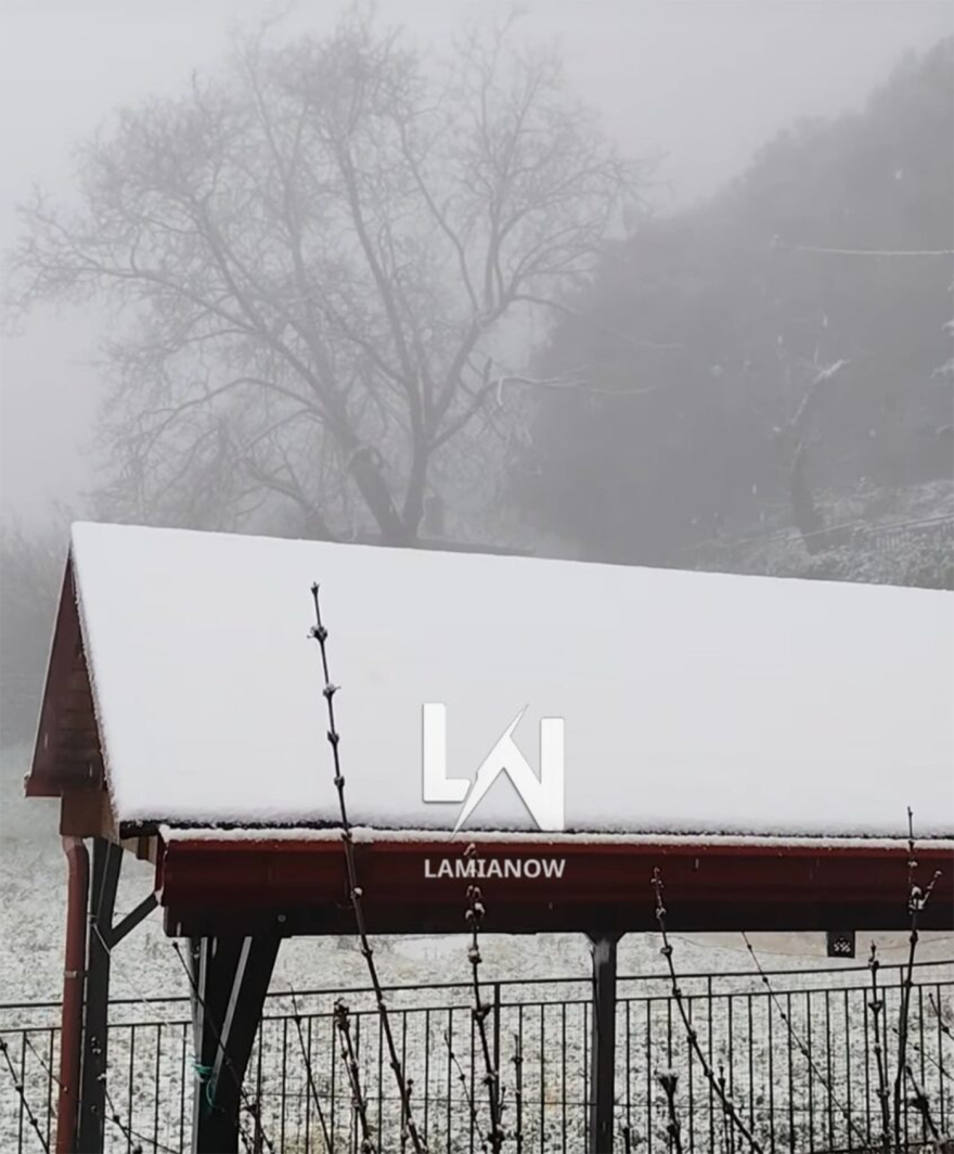 Χιόνια και χαμηλές θερμοκρασίες σε Πήλιο, ορεινή Φθιώτιδα, Καλάβρυτα και Τρίκαλα Κορινθίας, δείτε βίντεο 