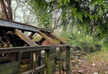 Εύβοια:-58χρονος-βρέθηκε-νεκρός-στο-υπόστεγο-του-σπιτιού-του