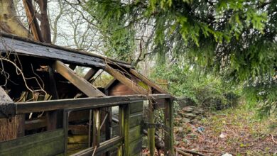 Εύβοια:-58χρονος-βρέθηκε-νεκρός-στο-υπόστεγο-του-σπιτιού-του