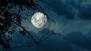 Διάστημα:-Σε-έξι-χρόνια-ένας-τεράστιος-αστεροειδής-μπορεί-να-χτυπήσει-η-Σελήνη