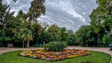 Κλειστός-σήμερα-(13/2)-ο-Εθνικός-Κήπος-με-εντολή-της-ΕΛΑΣ