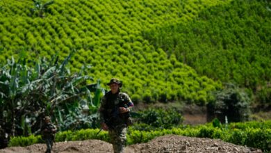 Κολομβία:-Ξανάρχισαν-οι-ψεκασμοί-με-γλυφοσάτη-για-την-καταστροφή-καλλιεργειών-κοκαΐνης