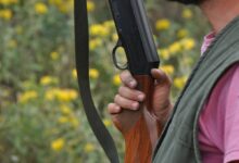 Φθιώτιδα:-65χρονος-μέθυσε,-μάλωσε-με-τη-σύζυγό-του-και-σκότωσε-τον-σκύλο-της-οικογένειας