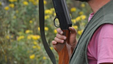 Φθιώτιδα:-65χρονος-μέθυσε,-μάλωσε-με-τη-σύζυγό-του-και-σκότωσε-τον-σκύλο-της-οικογένειας