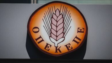 ΟΠΕΚΕΠΕ:-Το-κόστος-του-σκανδάλου-–-Τα-πρόστιμα-στην-ΕΕ,-τι-έδειξαν-οι-έλεγχοι-και-η-νέα-δικογραφία