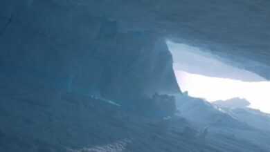 Δέκα-σκιέρ-αγνοούνται-στις-ΗΠΑ-–-Παρασύρθηκαν-από-χιονοστιβάδα-στην-Καλιφόρνια