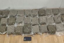 Σύλληψη-19χρονου-στο-«Ελευθέριος-Βενιζέλος»-με-15,5-κιλά-κάνναβης