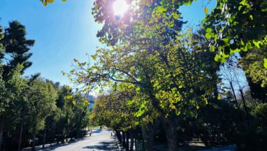 Καιρός:-24ωρο-μπλοκάρισμα-στις-βροχές…-με-«ανοιξιάτικους»-νοτιάδες!