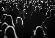 Το-παράδοξο-της-απασχόλησης:-Πτυχία-στο-ράφι-και-100.000-κενές-θέσεις