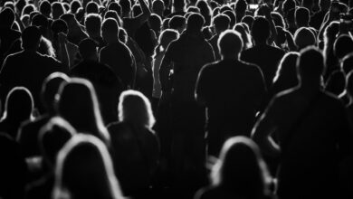 Το-παράδοξο-της-απασχόλησης:-Πτυχία-στο-ράφι-και-100.000-κενές-θέσεις