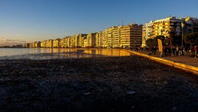 Ήρθαν-οι-«αλκυονίδες-μέρες»…-να-στεγνώσουν-τα-κορεσμένα-εδάφη!