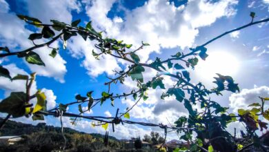 Ανοιξιάτικο-«κρυφτό»-του-ήλιου-με-τα-σύννεφα!