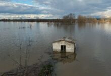 Έβρος:-Σε-λίμνη-μετατράπηκε-ο-δήμος-Σουφλίου-–-Μάχη-με-τα-νερά-δίνουν-οι-κάτοικοι-(photos)