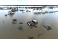 Παραμένει-δύσκολη-η-κατάσταση-στον-Έβρο-από-τις-πλημμύρες-–-Πλημμύρισαν-150.000-στρέμματα