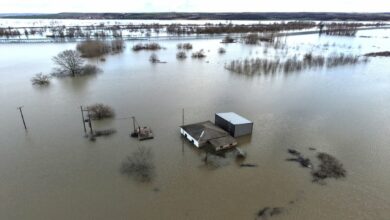 Παραμένει-δύσκολη-η-κατάσταση-στον-Έβρο-από-τις-πλημμύρες-–-Πλημμύρισαν-150.000-στρέμματα