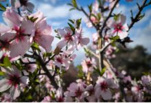 Καιρός-σήμερα:-Αίθριος-με-συννεφιά-και-τοπικές-βροχές-–-Στους-16-βαθμούς-Κελσίου-η-θερμοκρασία