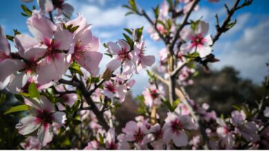 Καιρός-σήμερα:-Αίθριος-με-συννεφιά-και-τοπικές-βροχές-–-Στους-16-βαθμούς-Κελσίου-η-θερμοκρασία