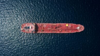 Αναβολή-διελεύσεων-και-αυξημένος-κίνδυνος-για-τη-ναυσιπλοΐα-στα-Στενά-του-Ορμούζ