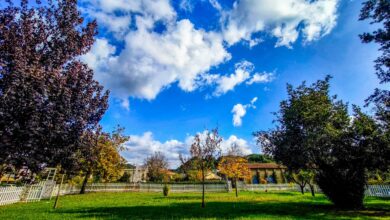 Καιρός:-Στην-είσοδό-του-ο-Μάρτης…-δεν-φαίνεται-να-είναι-«γδάρτης»!