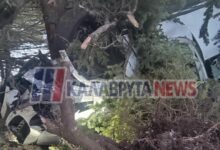 Καλάβρυτα:-«Καρφώθηκε»-σε-δέντρο-και-βγήκε-σώα-από-το-διαλυμένο-αυτοκίνητο-(photos)