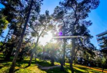 Καιρός:-«Ασπίδα»-υψηλών-πιέσεων-και…-η-άνοιξη-δίνει-ραντεβού-16-μέρες-νωρίτερα!