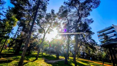 Καιρός:-«Ασπίδα»-υψηλών-πιέσεων-και…-η-άνοιξη-δίνει-ραντεβού-16-μέρες-νωρίτερα!