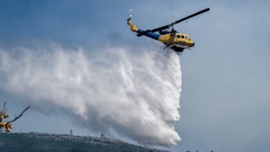 Υπό-έλεγχο-η-φωτιά-σε-δασική-έκταση-στο-Νεοχώρι-Πηλίου