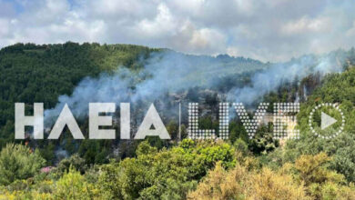 Φωτιά-τώρα-σε-δασική-έκταση-στο-Λέπρεο-Ηλείας,-επιχειρούν-52-πυροσβέστες-και-ένα-αεροσκάφος