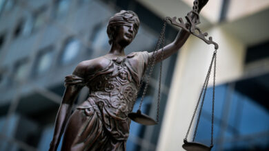 ΣτΕ-και-Ολομέλεια-Δικηγορικών-Συλλόγων-συνδιοργανώνουν-επιμορφωτικά-σεμινάρια