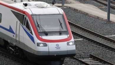 Σκύδρα:-Ακινητοποίηση-αμαξοστοιχίας-μετά-από-πρόσκρουση-με-ζώο