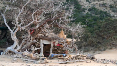 Κατεδαφίστηκαν-23-παραπήγματα-στη-Γαύδο,-συνελήφθη-φυγόποινος-για-ναρκωτικά-που-κρυβόταν-εκεί