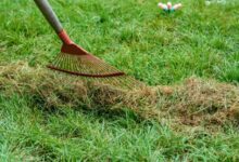 Προθεσμία-μέχρι-τις-15-Ιουνίου-για-τα-ακαθάριστα-οικόπεδα,-τι-προβλέπει-η-νέα-ΚΥΑ