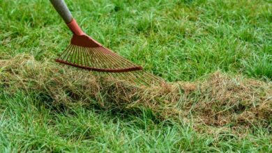 Προθεσμία-μέχρι-τις-15-Ιουνίου-για-τα-ακαθάριστα-οικόπεδα,-τι-προβλέπει-η-νέα-ΚΥΑ