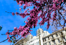 Ανοιξιάτικος-ο-καιρός-σήμερα-με-θερμοκρασίες-έως-26-βαθμούς,-πότε-χαλάει