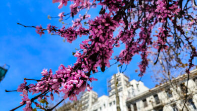 Ανοιξιάτικος-ο-καιρός-σήμερα-με-θερμοκρασίες-έως-26-βαθμούς,-πότε-χαλάει