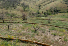 Σε-πλήρη-εξέλιξη-τα-αντιπλημμυρικά-έργα-στη-Χίο-μετά-τις-πυρκαγιές-του-2025