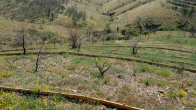 Σε-πλήρη-εξέλιξη-τα-αντιπλημμυρικά-έργα-στη-Χίο-μετά-τις-πυρκαγιές-του-2025