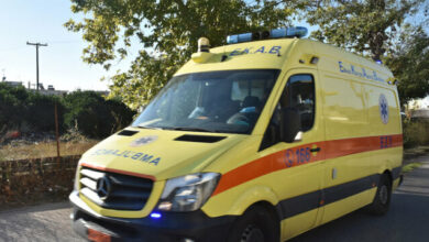 Κρήτη:-Γυναίκα-έχασε-τις-αισθήσεις-της-μετά-από-τσίμπημα-μέλισσας