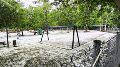 Ισχυρή-χαλαζόπτωση-στην-Καρδίτσα:-Το…-έστρωσε-μέσα-σε-15-λεπτά-στο-κέντρο-της-πόλης,-δείτε-βίντεο