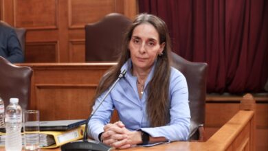 Εφεση-της-ΑΑΔΕ-για-την-επανατοποθέτηση-της-Τυχεροπούλου-στον-ΟΠΕΚΕΠΕ,-τι-λέει-ο-δικηγόρος-της