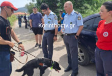 Συνεχίζονται-για-δεύτερη-ημέρα-οι-έρευνες-για-τον-82χρονο-στην-Κορινθία