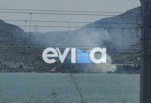 Υπό-έλεγχο-η-φωτιά-σε-ξερά-χόρτα-από-εργοστάσιο-στη-Χαλκίδας