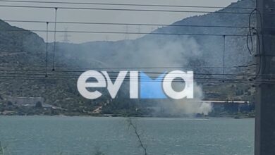 Υπό-έλεγχο-η-φωτιά-σε-ξερά-χόρτα-από-εργοστάσιο-στη-Χαλκίδας