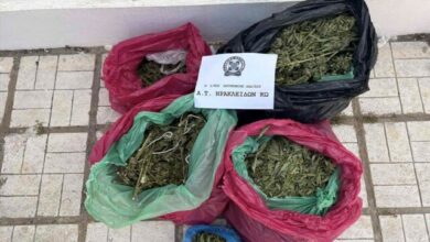Συνελήφθη-29χρονος-στην-Κω-που-καλλιεργούσε-78-δενδρύλλια-κάνναβης-για-λογαριασμό-άλλου