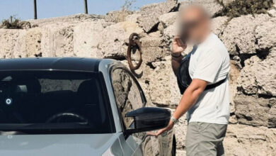 «Έχω-πάει-σε-ψυχολόγο»:-Σε-σοκ-η-συνοδηγός-του-44χρονου-οδηγού-του-φονικού-τροχαίου-στη-Ρόδο