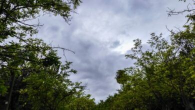 Άστατος-καιρός-με-βροχές-και-καταιγίδες-στα-ηπειρωτικά-σήμερα,-πότε-αναμένεται-βελτίωση